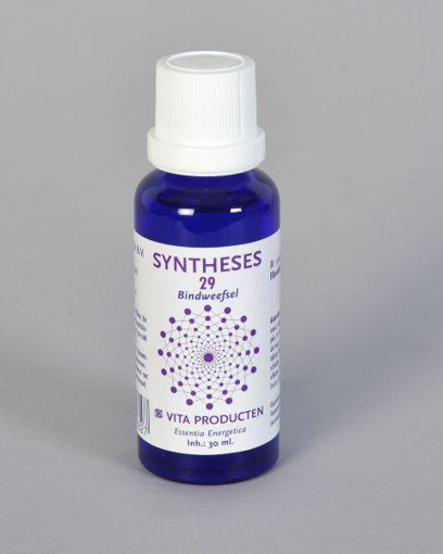 afbeelding van Syntheses 29 bindweefsel/fibro