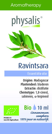 afbeelding van Ravintsara bio