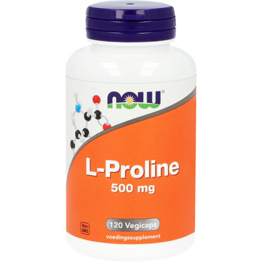 afbeelding van L-Proline 500mg