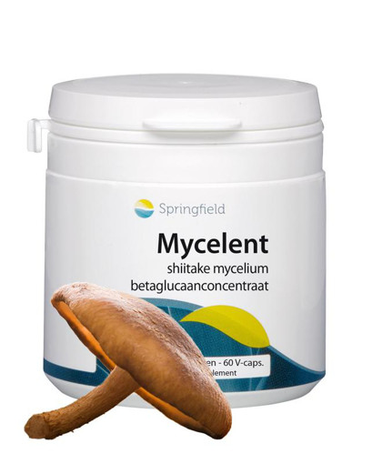 afbeelding van Mycelent shiitake-mycellium