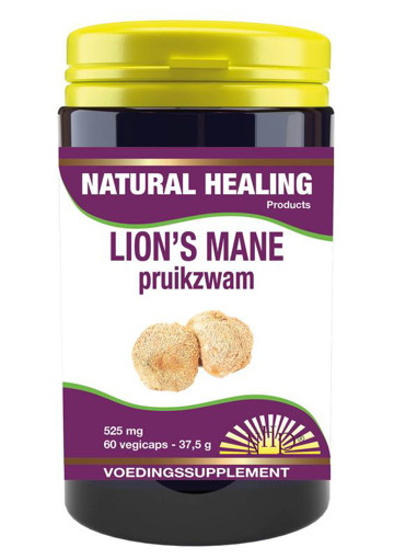 afbeelding van lion's mane (pruikzwam)