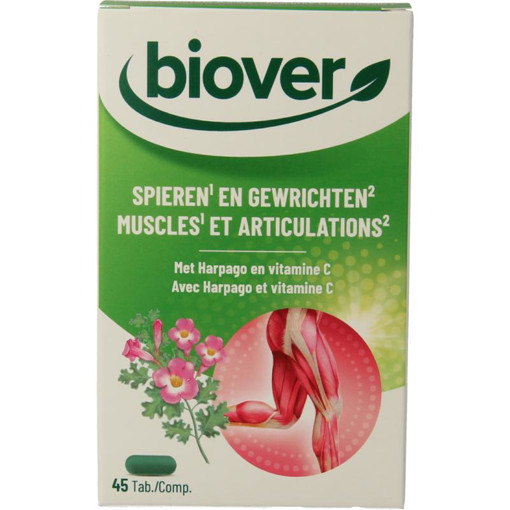 afbeelding van spieren en gewrichten Biover