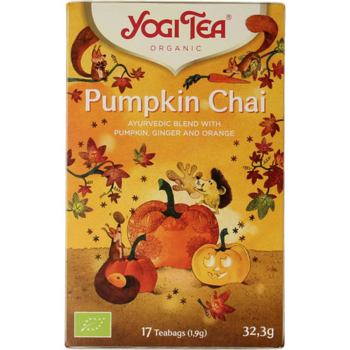 afbeelding van Yogi Tea pumpkin chai