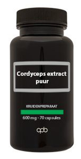 afbeelding van cordyceps 600 mg puur