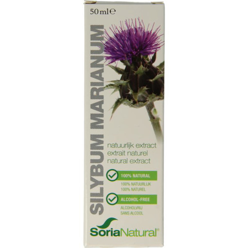 afbeelding van silybum marianum extract